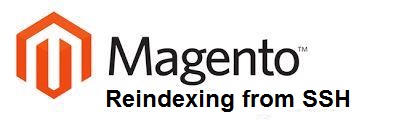How to Re-index Magento Data via SSH